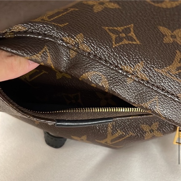 Louis Vuitton Palm Springs Backpack PM - Picture 11 of 16